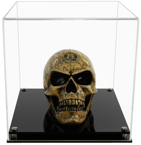 Clear Acrylic Display Cover on a Black Modern Acrylic base with a white background, There is a skull displayed inside the display case.