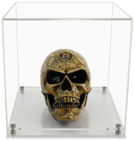 Clear Acrylic Display Cover on a clear Modern Acrylic base with a white background, There is a skull displayed inside the display case.